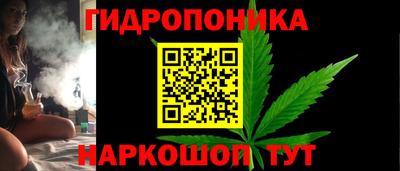 индика Ликино-Дулёво