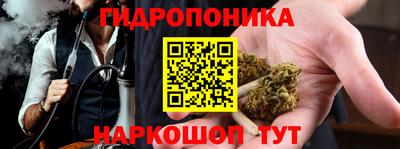 индика Ликино-Дулёво