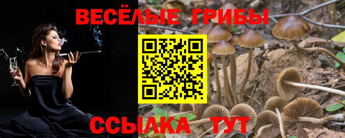 Псилоцибиновые грибы GOLDEN TEACHER Воркута