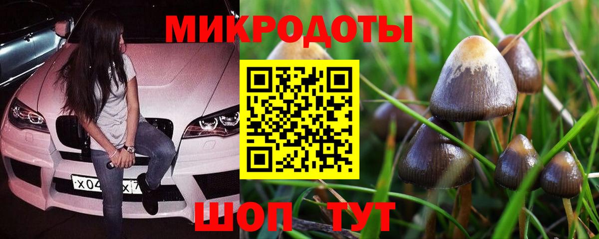 Галлюциногенные грибы Magic Shrooms  Вход с VPN  Воркута  где найти наркотики  Псилоцибиновые грибы прущие грибы 